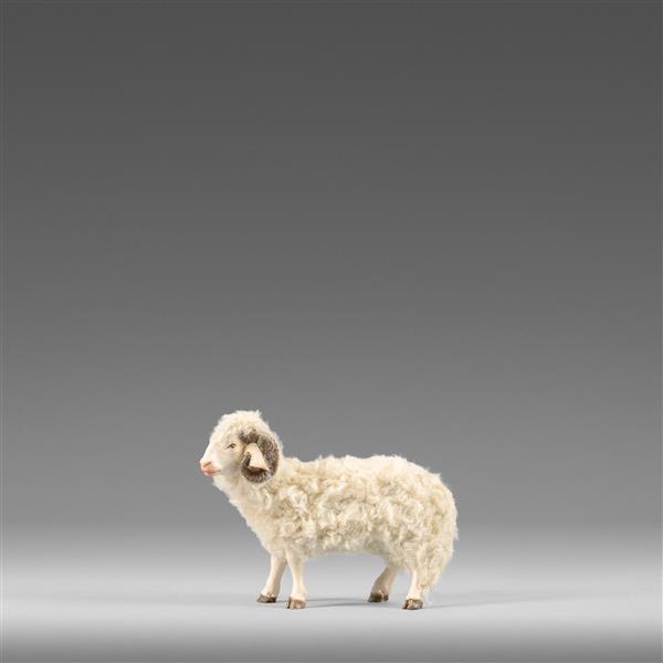 Widder mit Wolle beige Widder mit Wolle beige