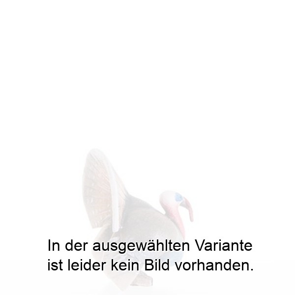 Truthahn Truthahn