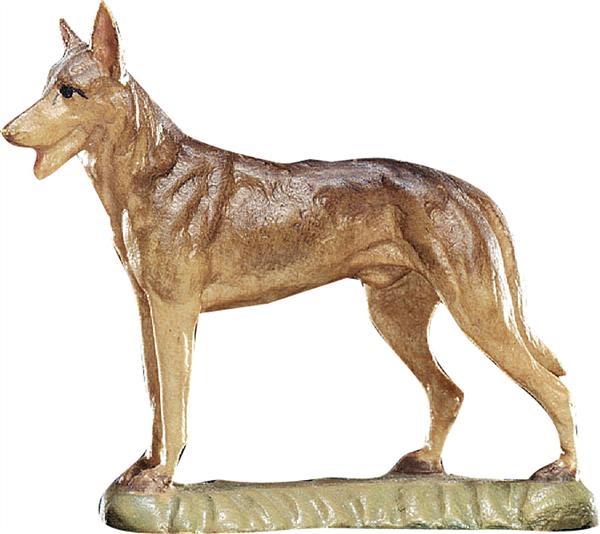 Schäferhund Schäferhund