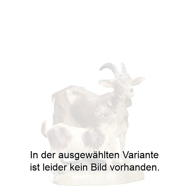 Ziegengruppe Ziegengruppe