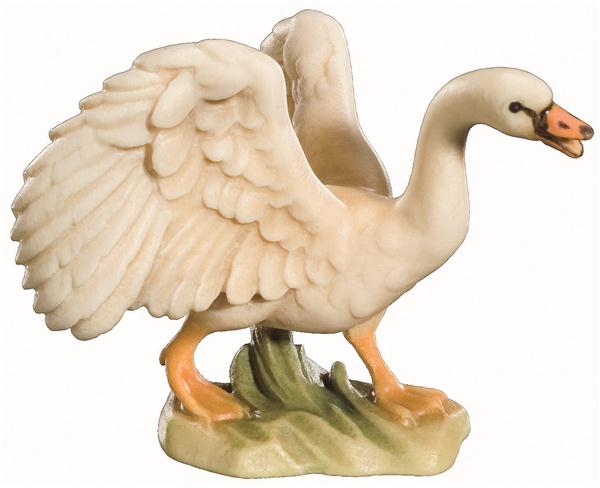 Schwan laufend Schwan laufend