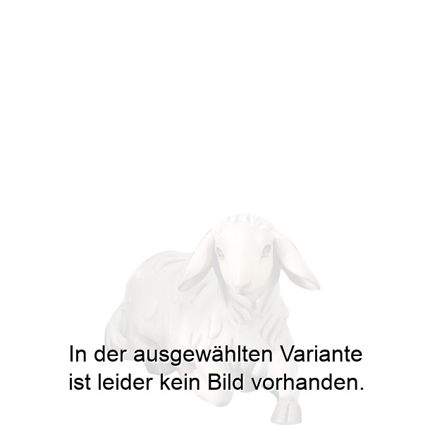 Schaf liegend lovely Schaf liegend lovely
