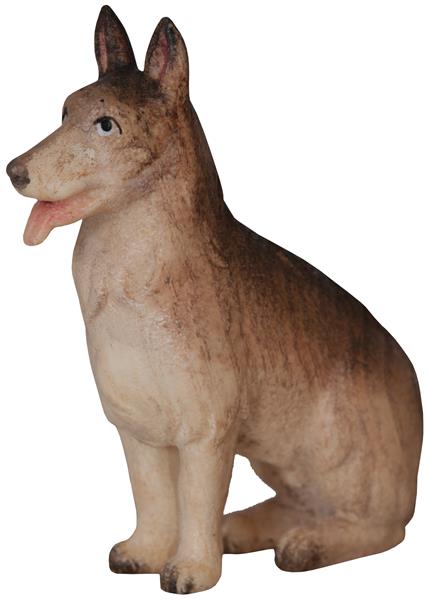 Schäferhund Schäferhund