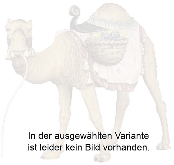Kamel