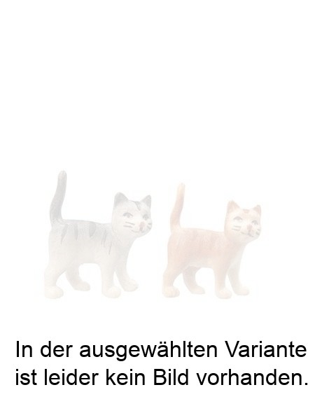 Katze rechts