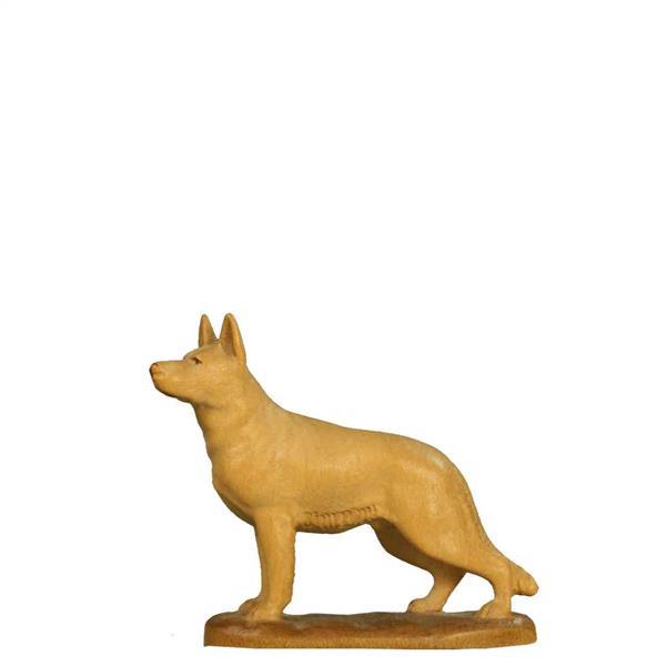 Schäferhund Schäferhund