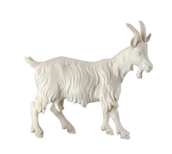 Ziege Ziege