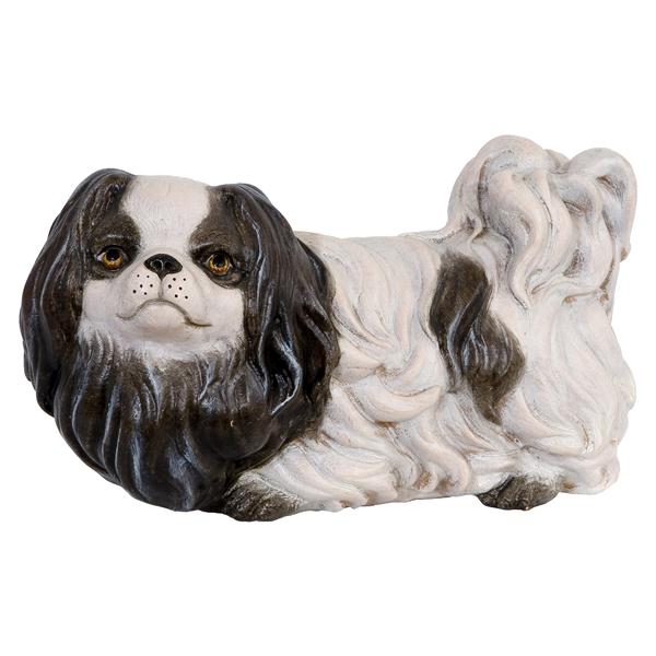 Pekinese Pekinese