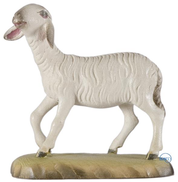 Schaf groß Schaf groß