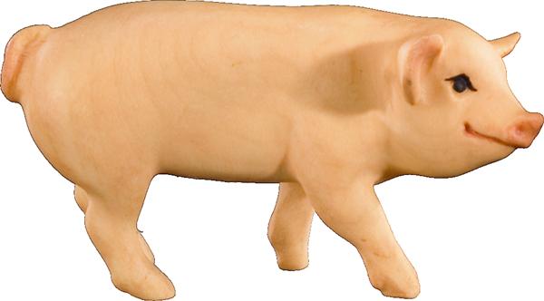 Ferkel