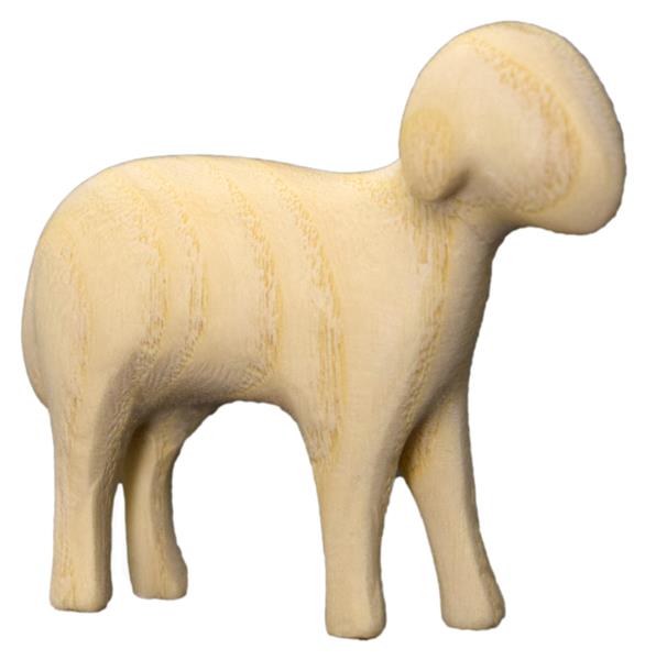 Schaf stehend Aram Esche Schaf stehend Aram Esche