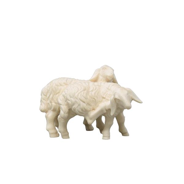 Schafgruppe