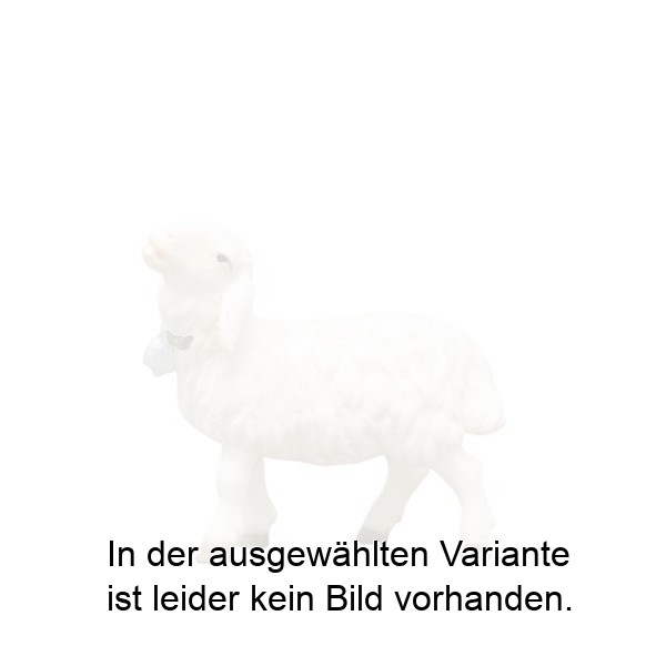 Schaf blöckend