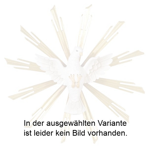 Hl. Geist mit Strahlen
