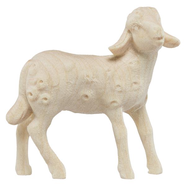 Lamm stehend Lamm stehend