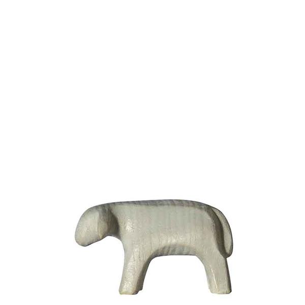 Schaf stehend Schaf stehend