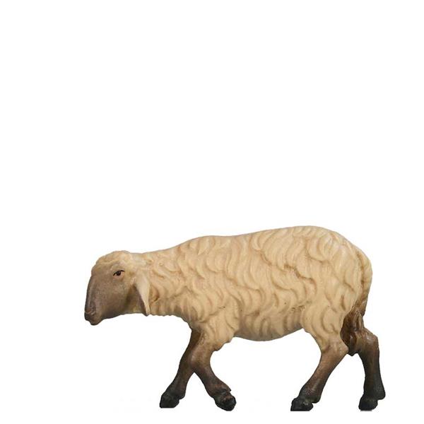 Schaf gehend SCHWARZ-WEIß