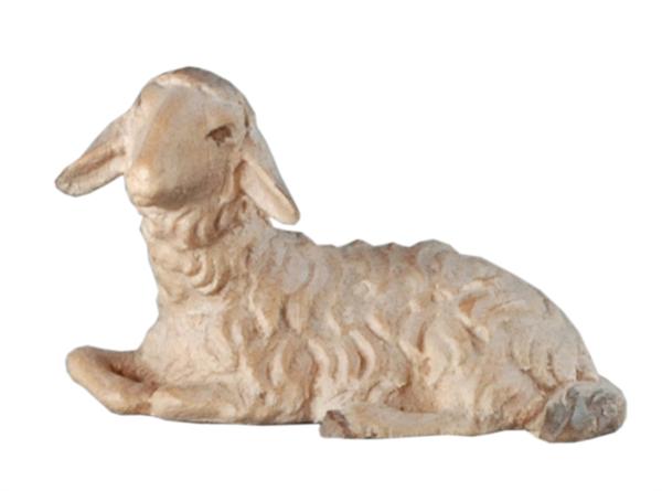 Schaf liegend Schaf liegend