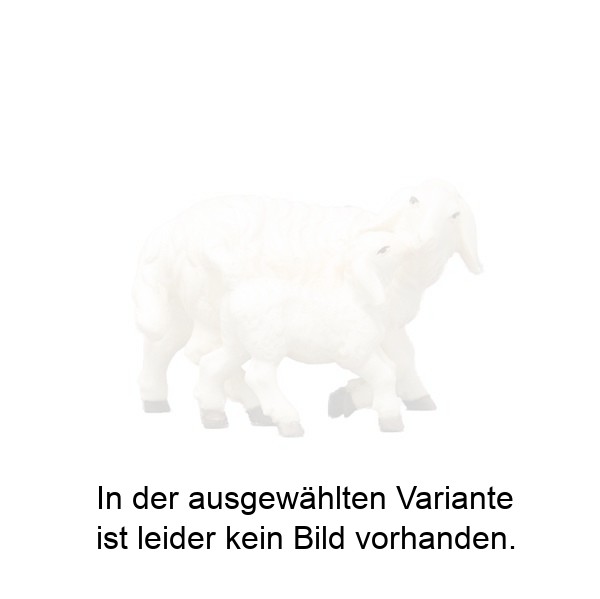 Schaf stehend mit Lamm