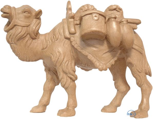 Kamel mit Gepäck Kamel mit Gepäck