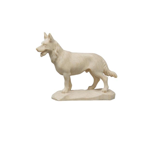 Schäferhund