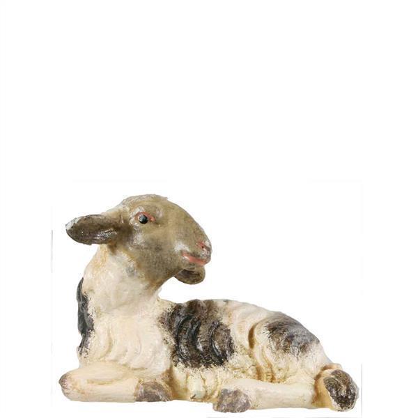 Schafe liegend fleckig
