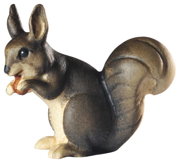 Eichhörnchen sitzend grau Eichhörnchen sitzend grau