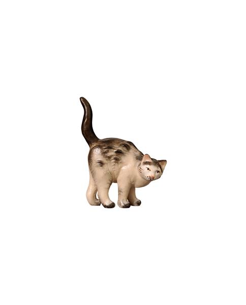 IN Katze stehend