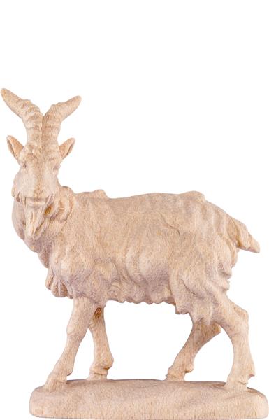 Ziegenbock Ziegenbock