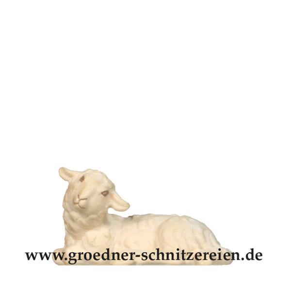 Schaf liegend Schaf liegend