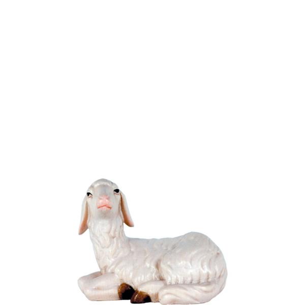 Schaf liegend Schaf liegend