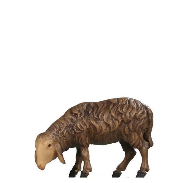 Schaf grasend links schauend SCHWARZ Schaf grasend links schauend SCHWARZ