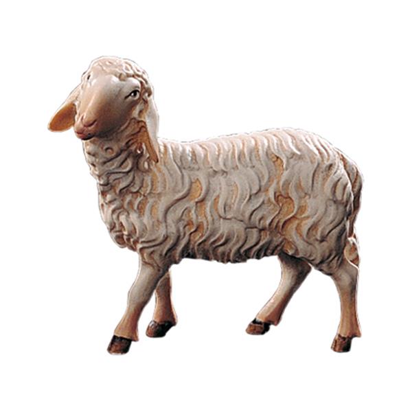 Schaf stehend Schaf stehend