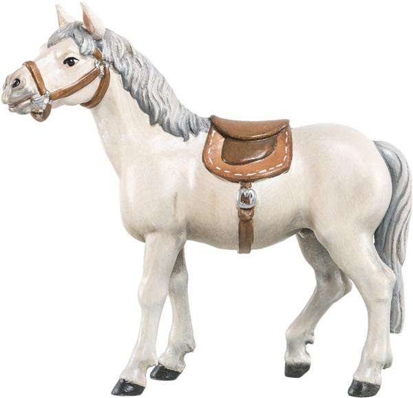 Pferd weiß Pferd weiß