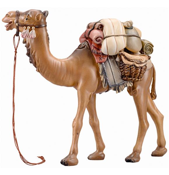 Kamel mit Gepäck Kamel mit Gepäck