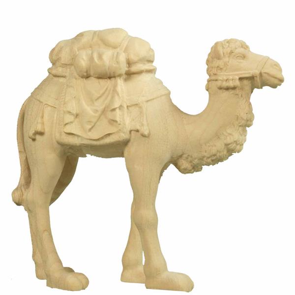 Kamel stehend Kamel stehend