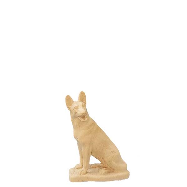 Sitzender Schäferhund Sitzender Schäferhund