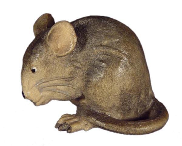 Maus bückend in Zirbel