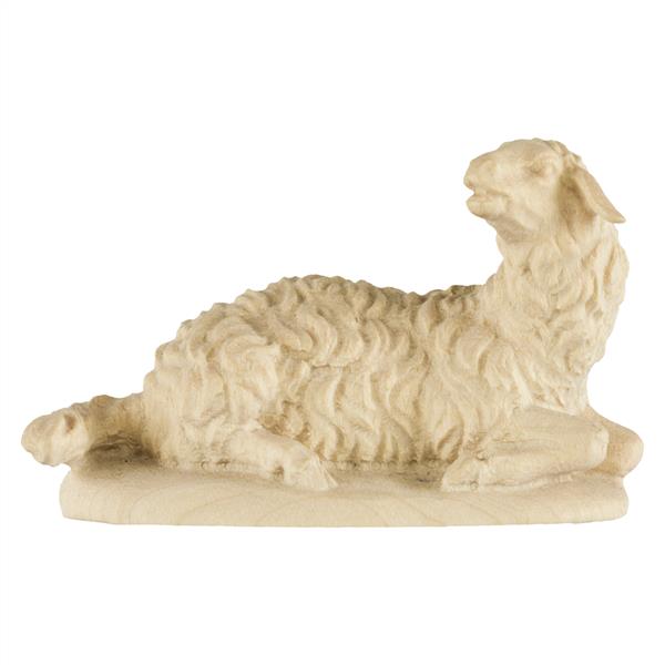 Schaf liegend Schaf liegend