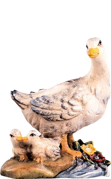 Gänsegruppe Gänsegruppe