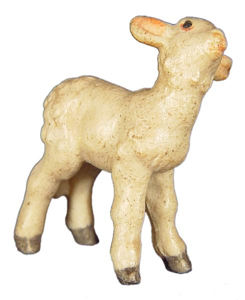 Lamm stehend Lamm stehend