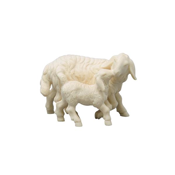 Schaf stehend mit Lamm