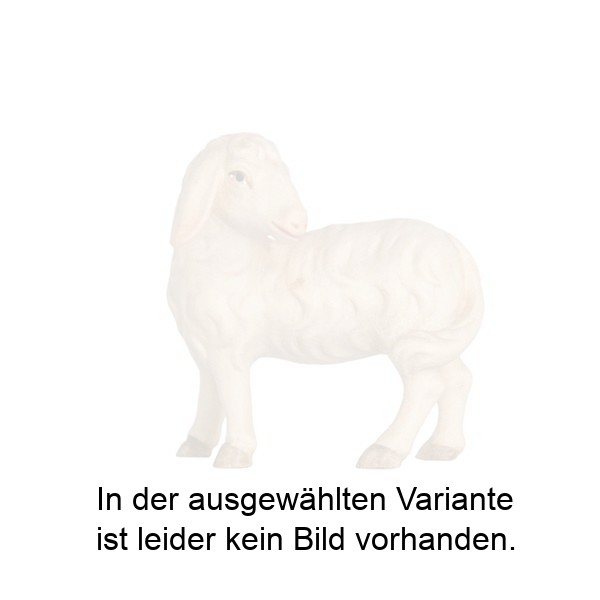 Schaf zurückschauend