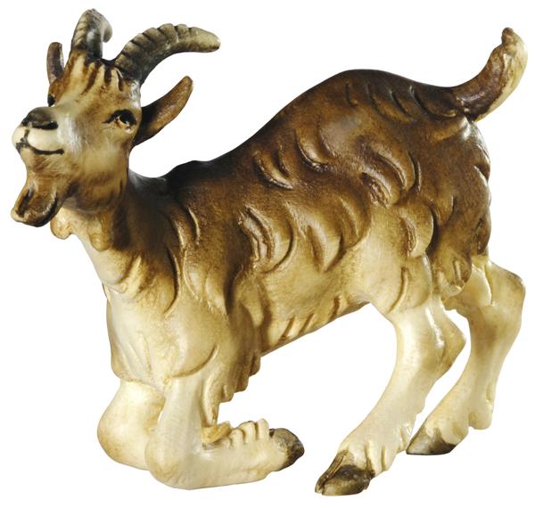 Ziege kniend Ziege kniend