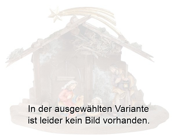 Bavaria Set 6 teilig - Stall TR