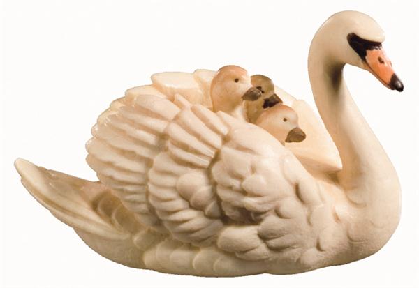 Schwan mit Küken Schwan mit Küken