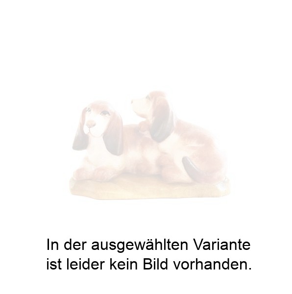 Dackelhunde