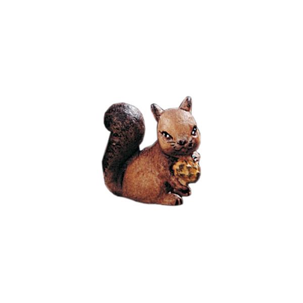 Eichhörnchen Eichhörnchen