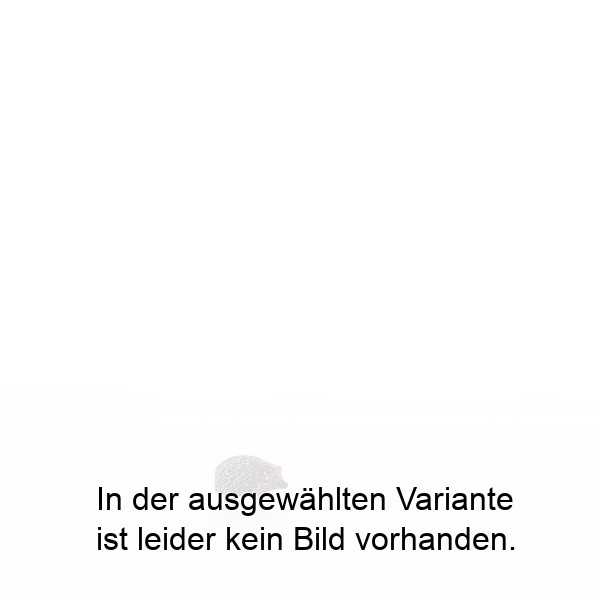 Igel nach unten schauend Igel nach unten schauend