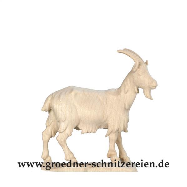 Ziege Ziege